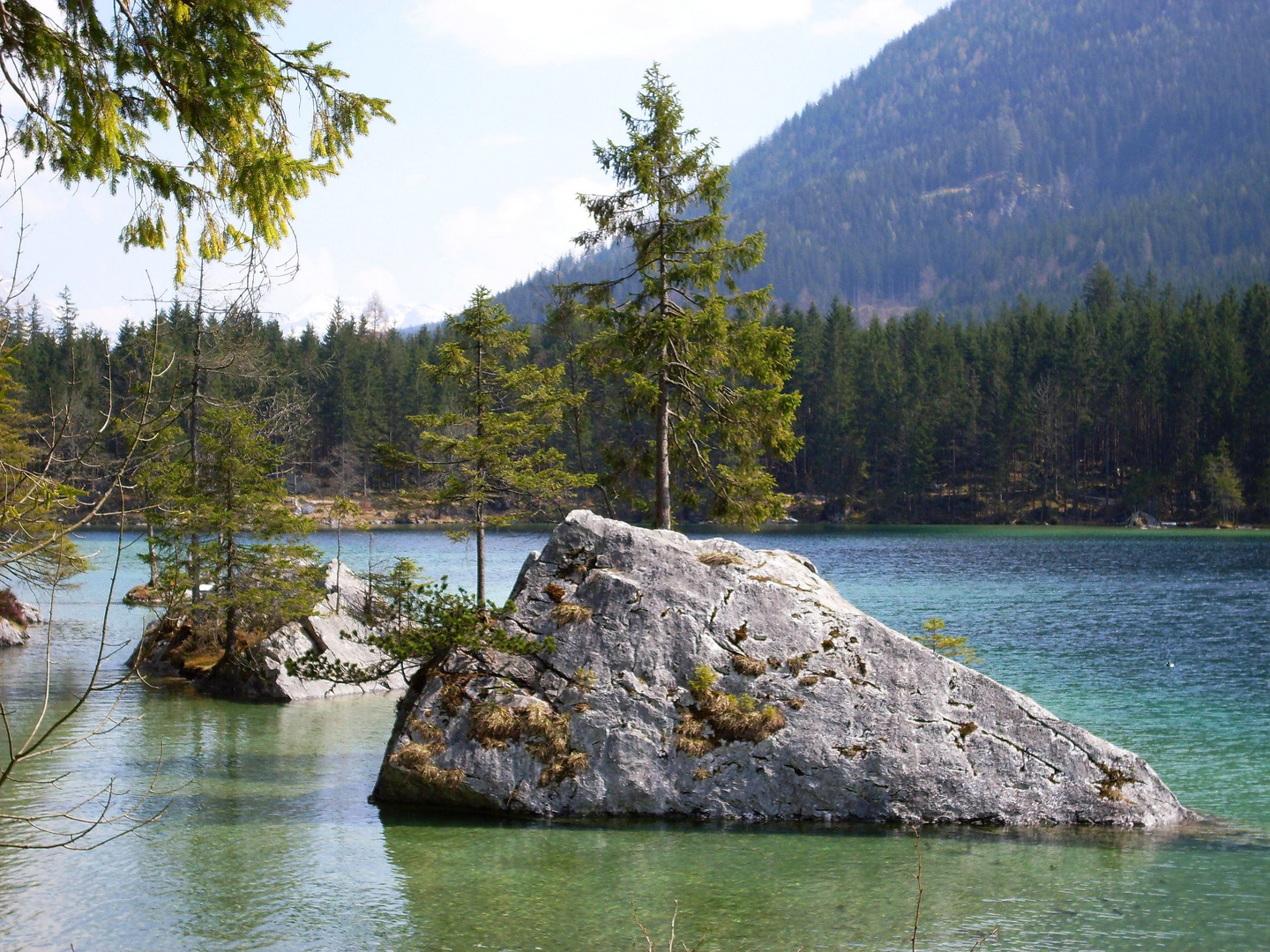 Felsinseln im Hintersee