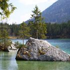 Felsinseln im Hintersee