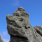 Felskopf an der Pointe de Pern, Ouessant