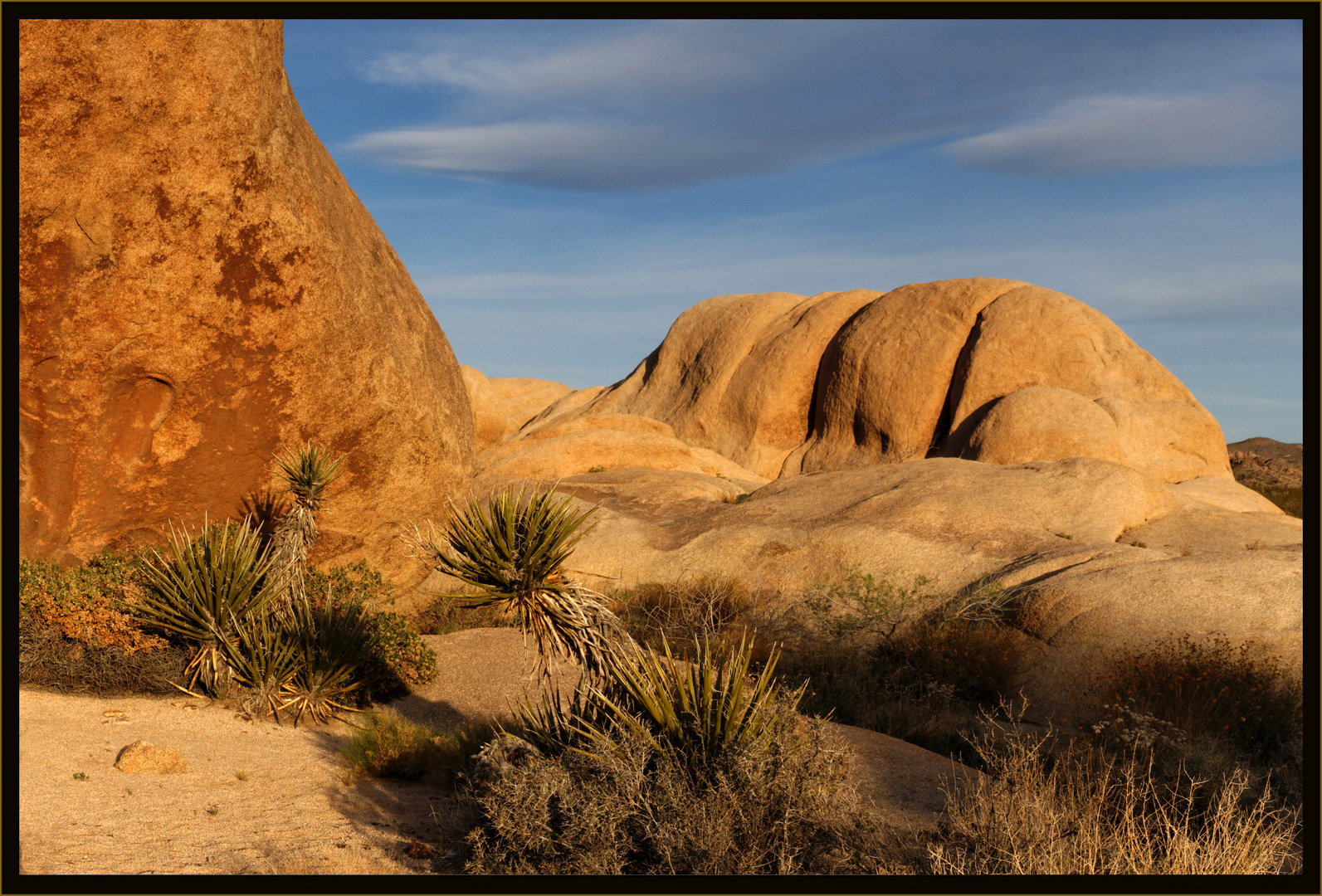 Felslandschaft im Joshua Tree NP