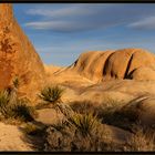 Felslandschaft im Joshua Tree NP