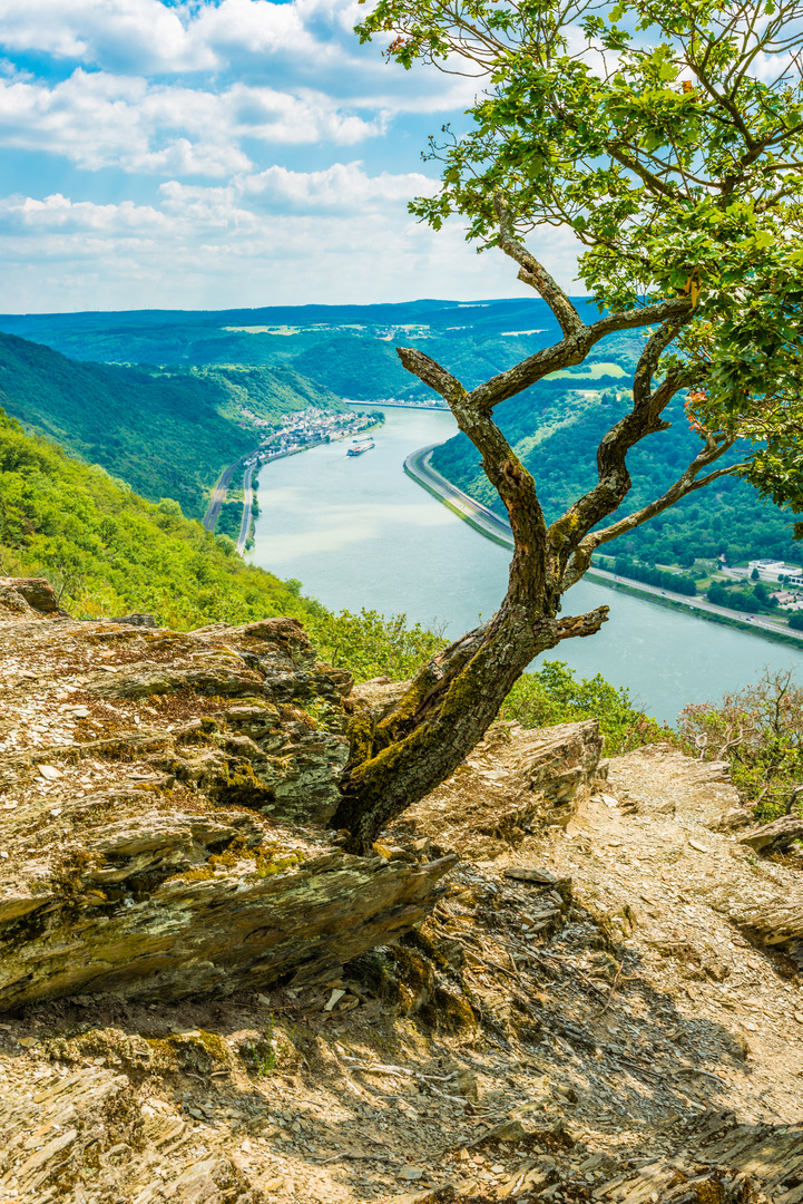 Felsmassiv am Mittelrhein 44