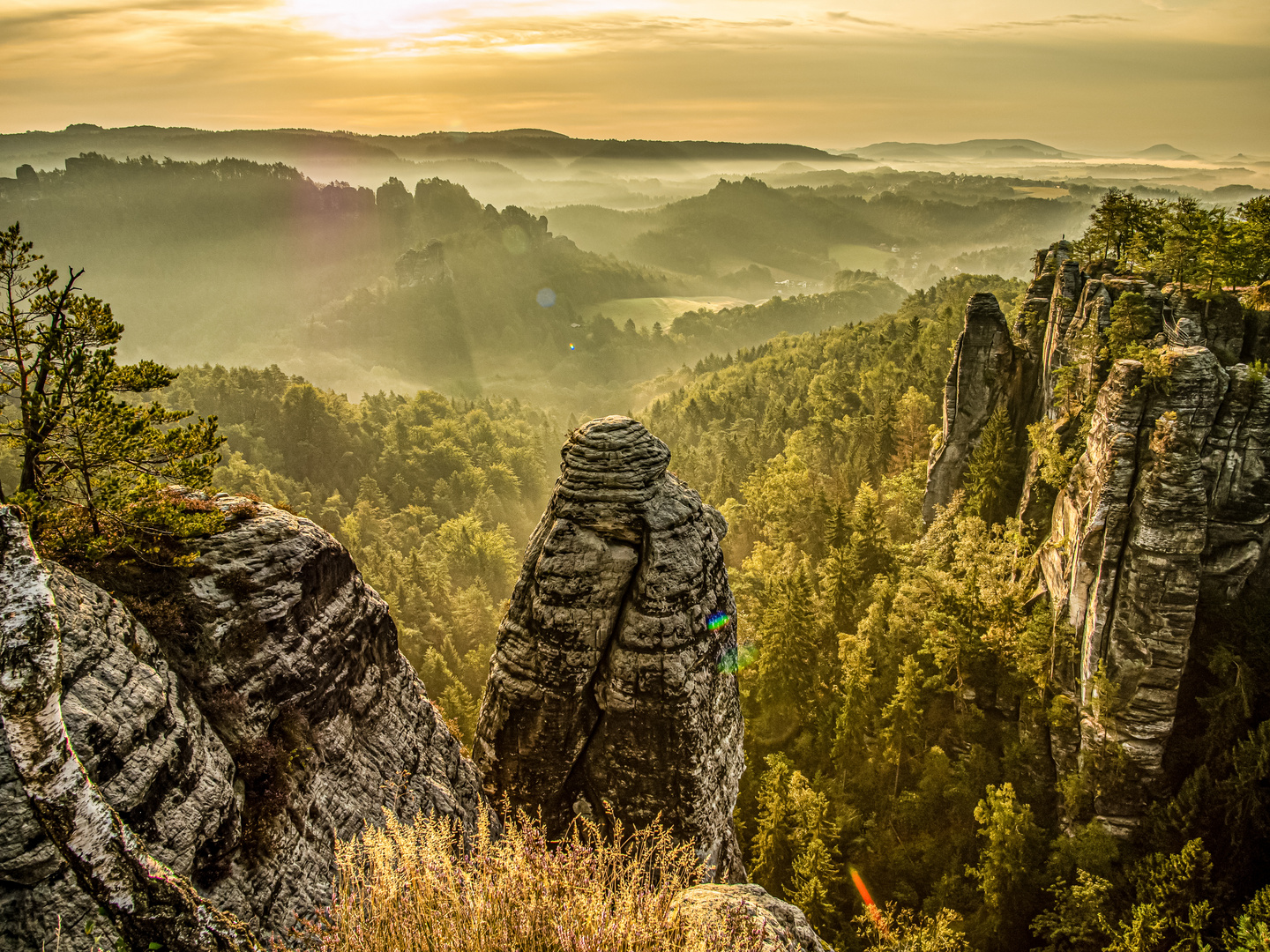 Felsnadel im Morgenlicht - Elbsandsteingebirge