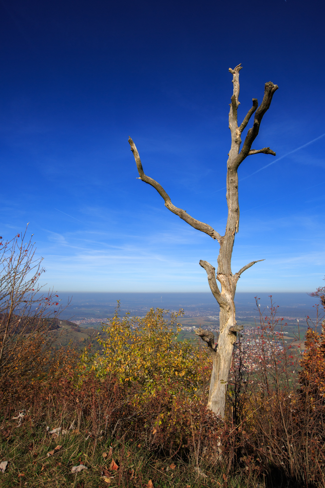 Felsplateau Breitenstein