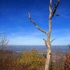 Felsplateau Breitenstein