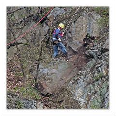 Felsräumung an der "Urfahrwänd" zwischen Linz und Puchenau in ca. 50 m Höhe