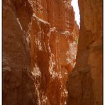 Felsschlucht im Bryce Canyon - Utah, USA