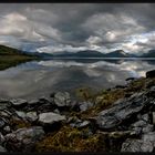 Felsspinat an Spiegelfjord