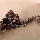 Felsspitze spitzt durch Wolken