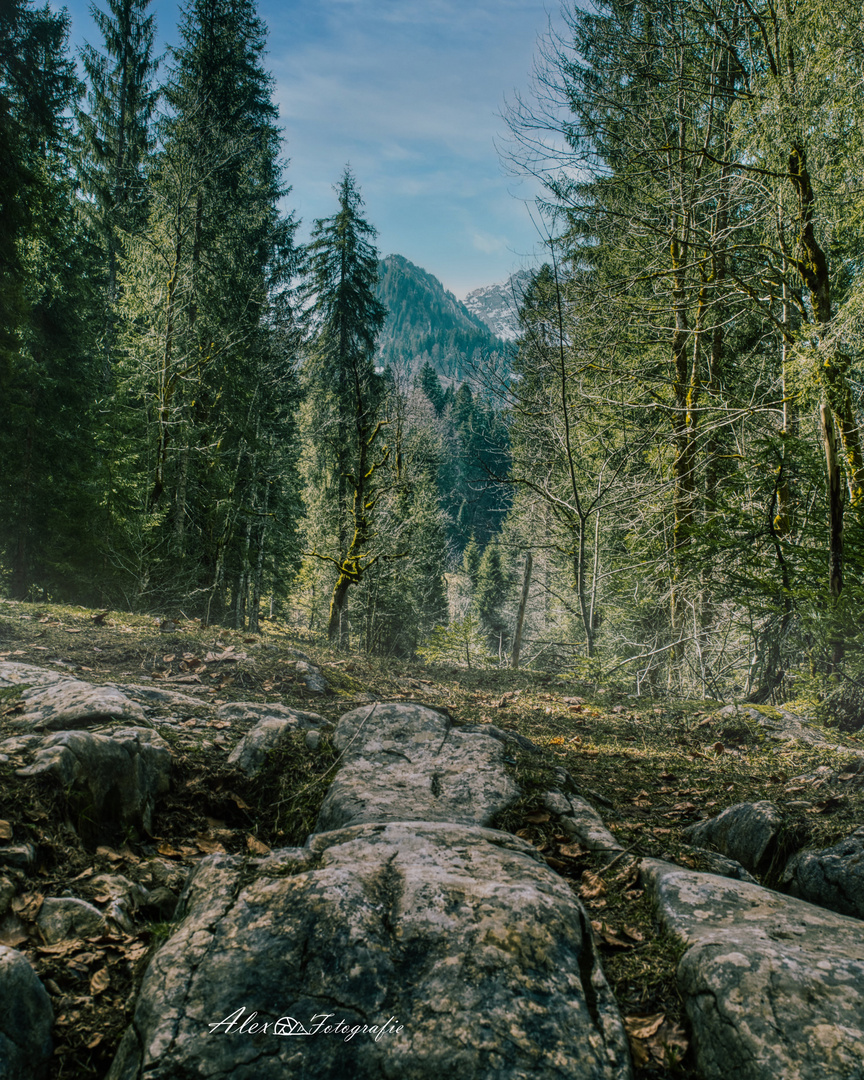 Felssteine als Weg in Vorarlberg 