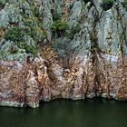 Felsstrukturen im Nationalpark Monfragüe