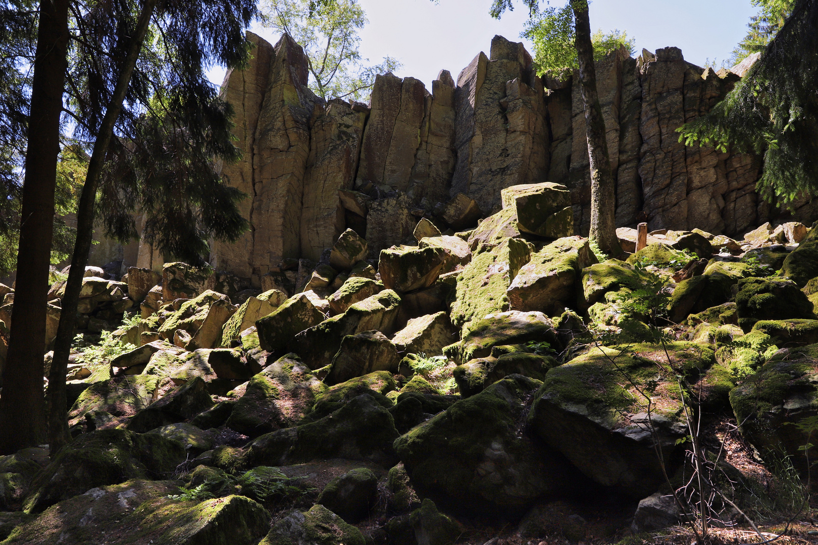 Felstürme der Steinwand (2019_06_29_EOS 6D Mark II_4572_ji)