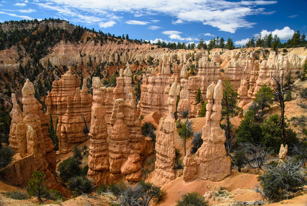 Felstürme im Bryce Canyon N.P.