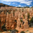 Felstürme im Bryce Canyon N.P.