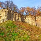 Felswand am Stenzelberg im Siebengebirge