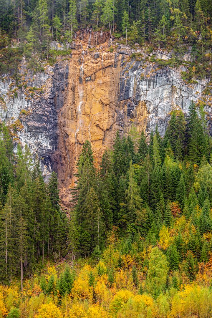 Felswand im Herbst