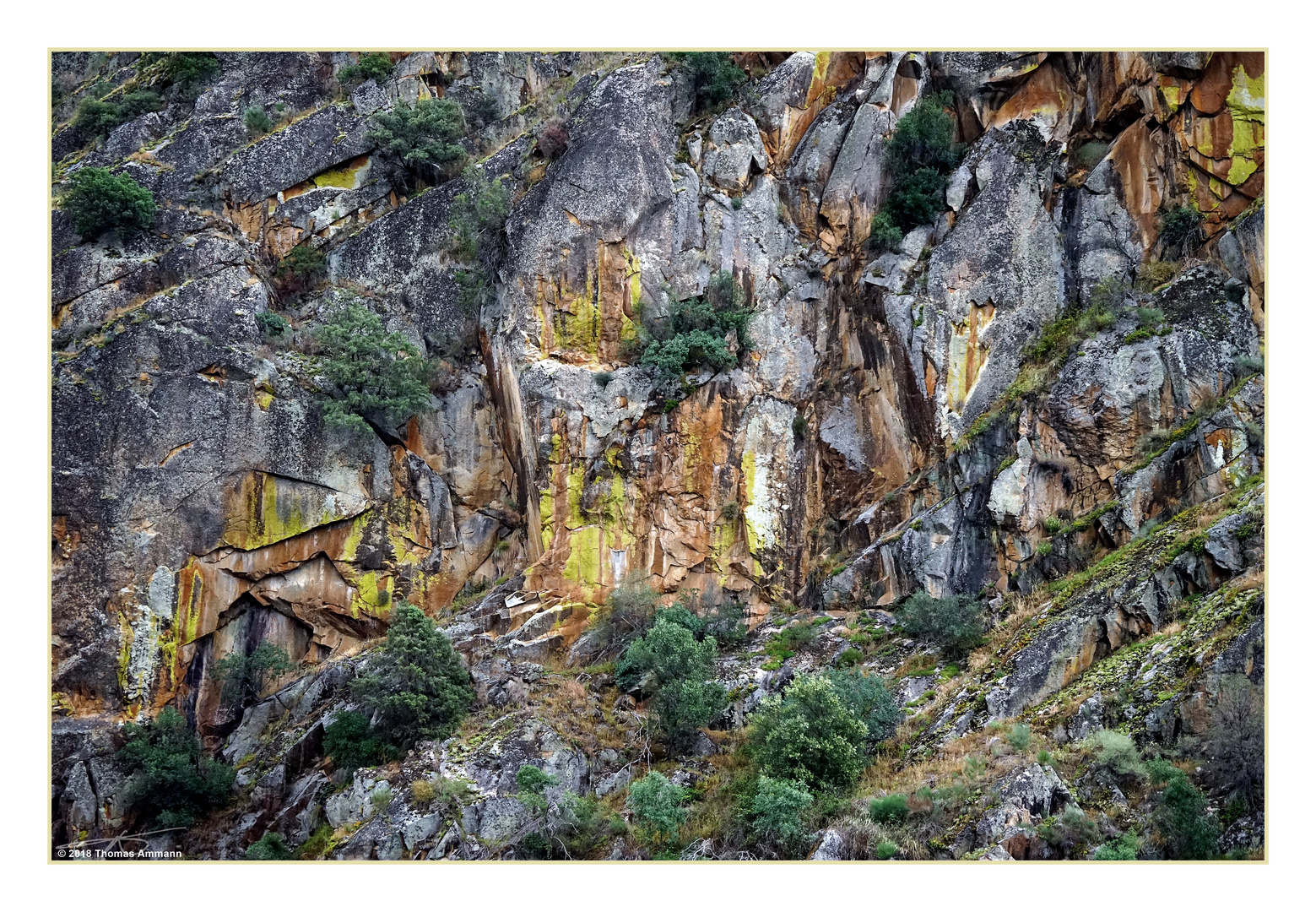 Felswand im Parque Natural de Arribes del Duero