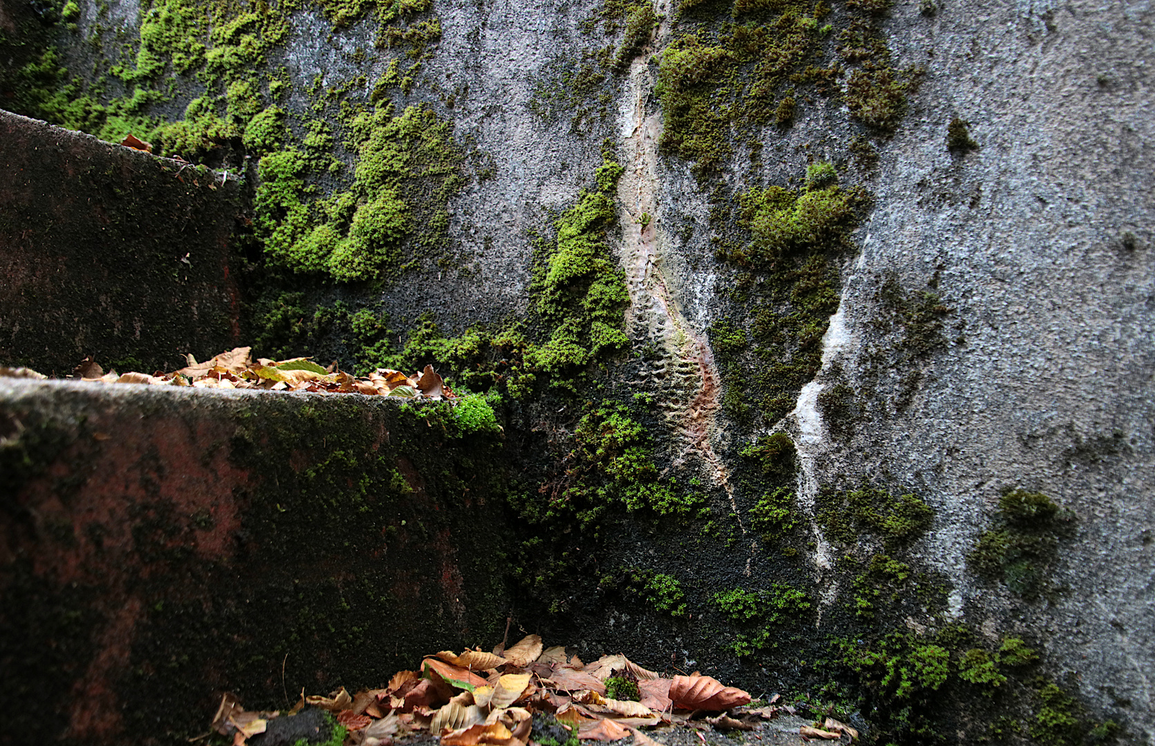 Felswand mit Wasserfall