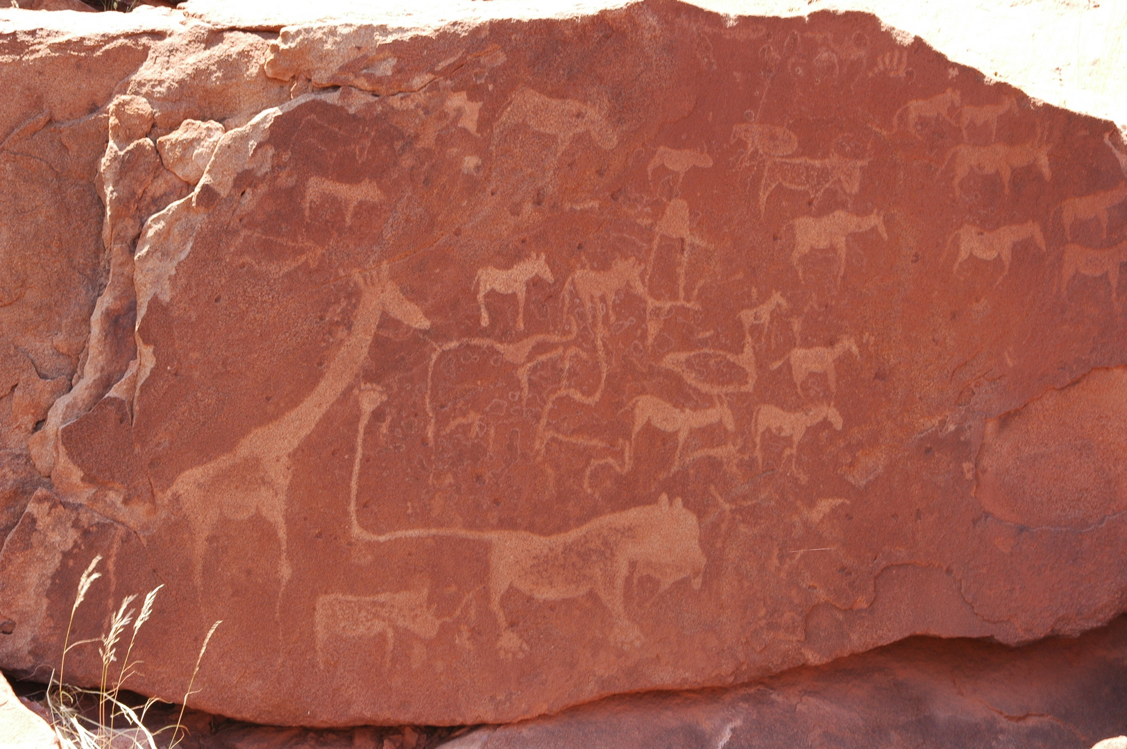 Felszeichnung Foto & Bild africa, southern africa, namibia Bilder auf