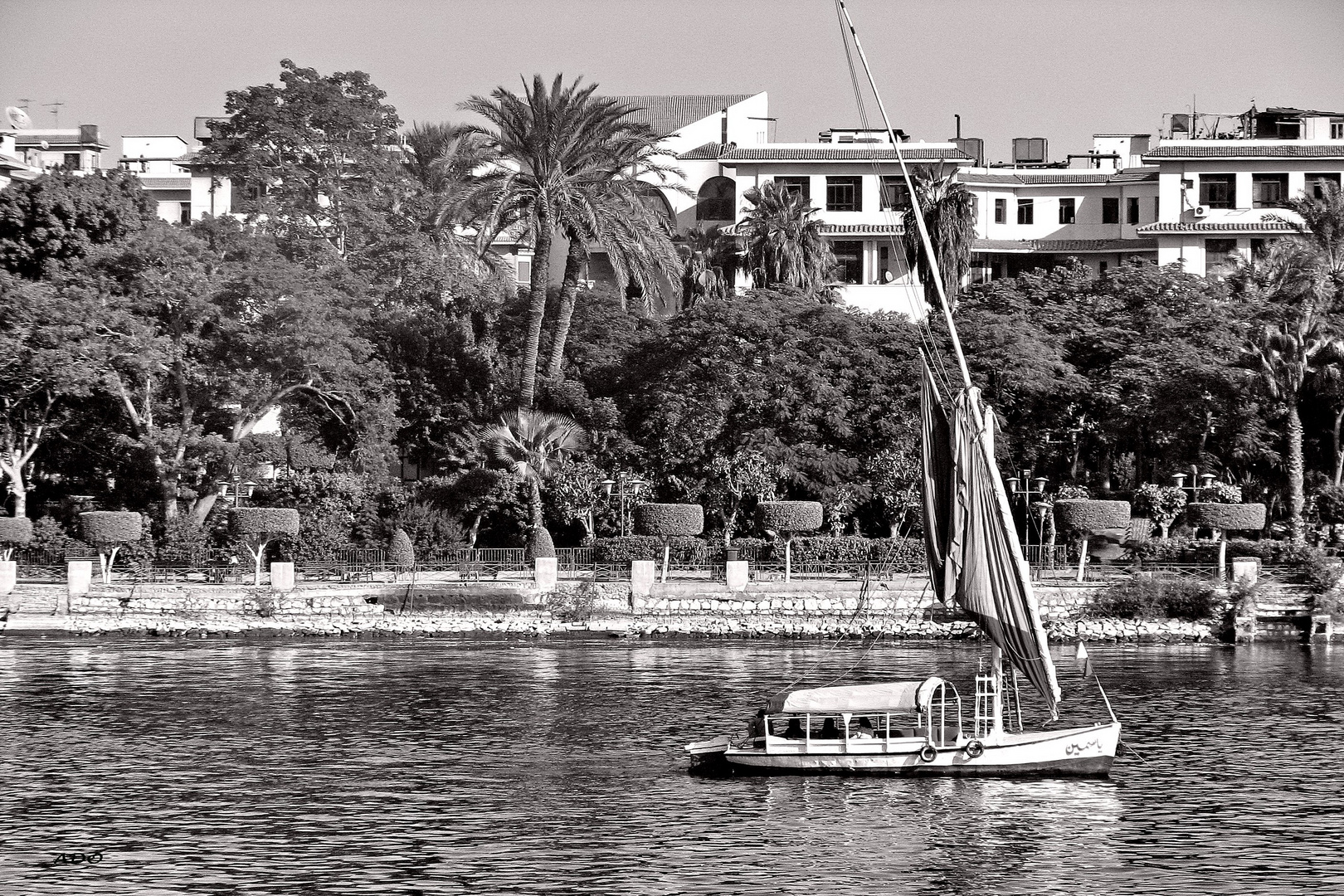 Felucca of the Nile