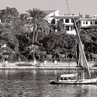 Felucca of the Nile