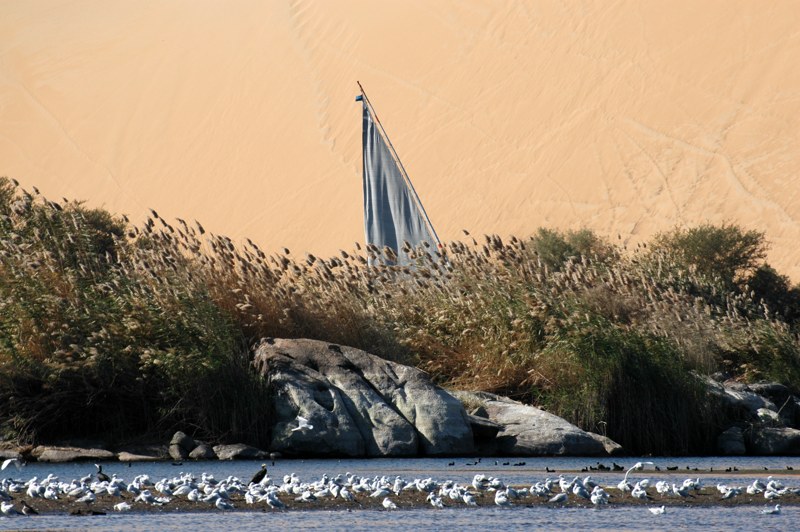 Feluke am Nil