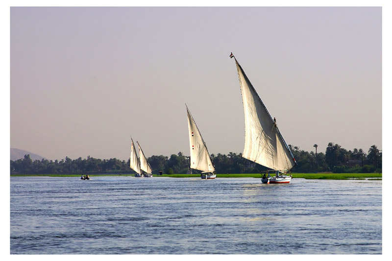 Felukken (Dschunken) auf dem Nil