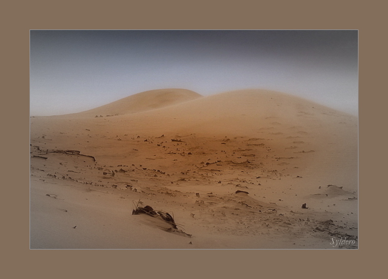 Féminité de la dune