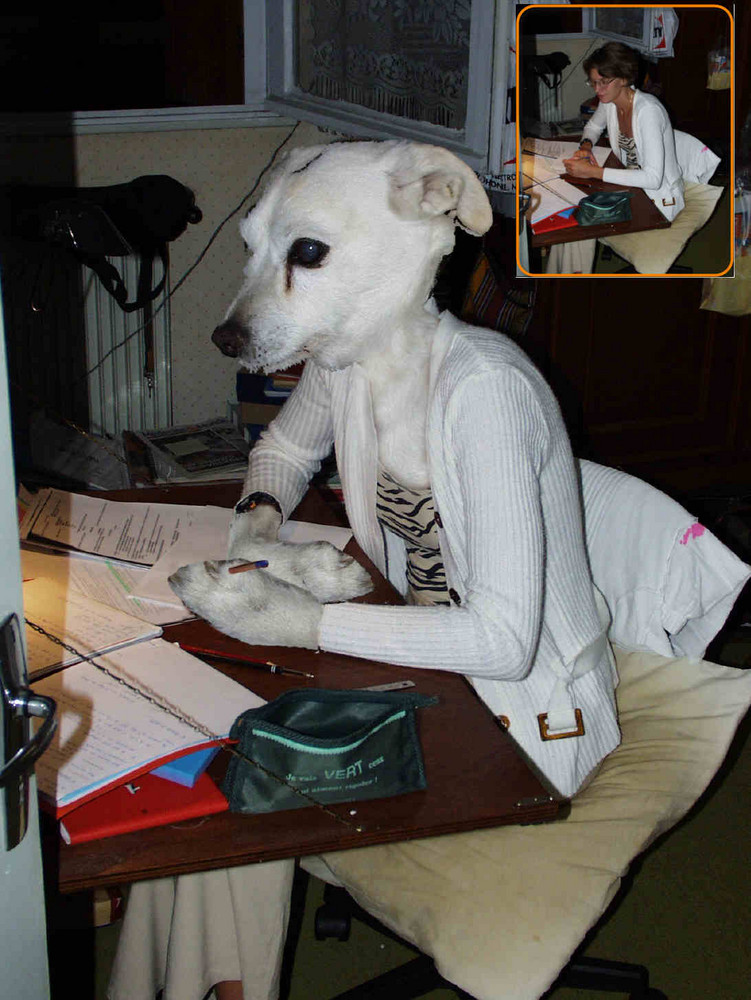 Femme chien au bureau