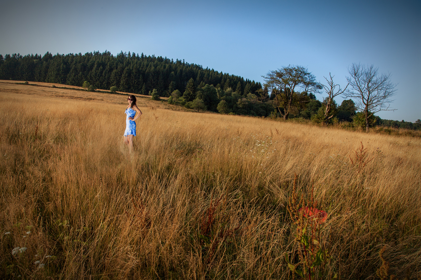 Femme dans herbes