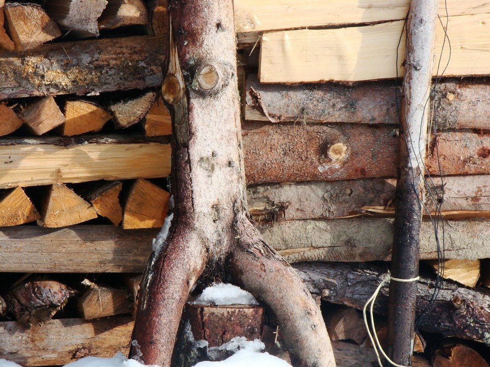 femme en bois