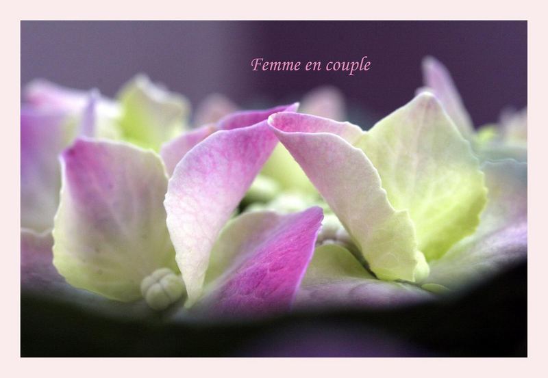 Femme en couple - Women in couple