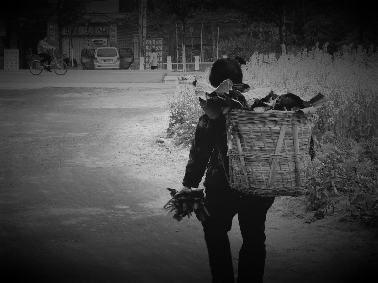 Femme revenant du potager