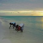 Femmes indigènes cherchant des coquillages.