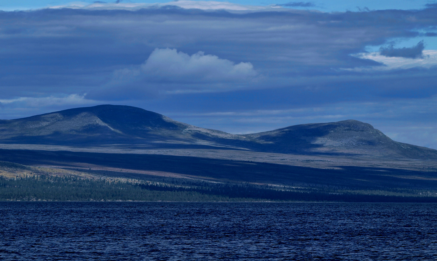 Femund National Park in Sommer