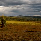  Femundsmarka Norwegen