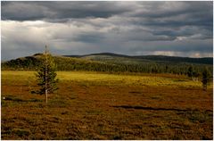  Femundsmarka Norwegen