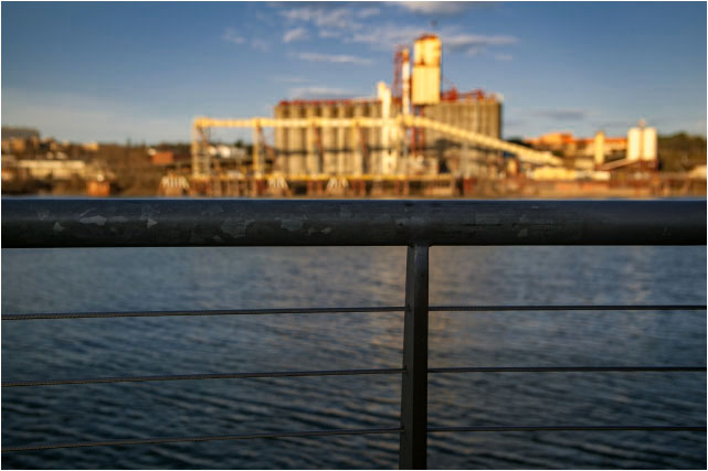 Fence and River 