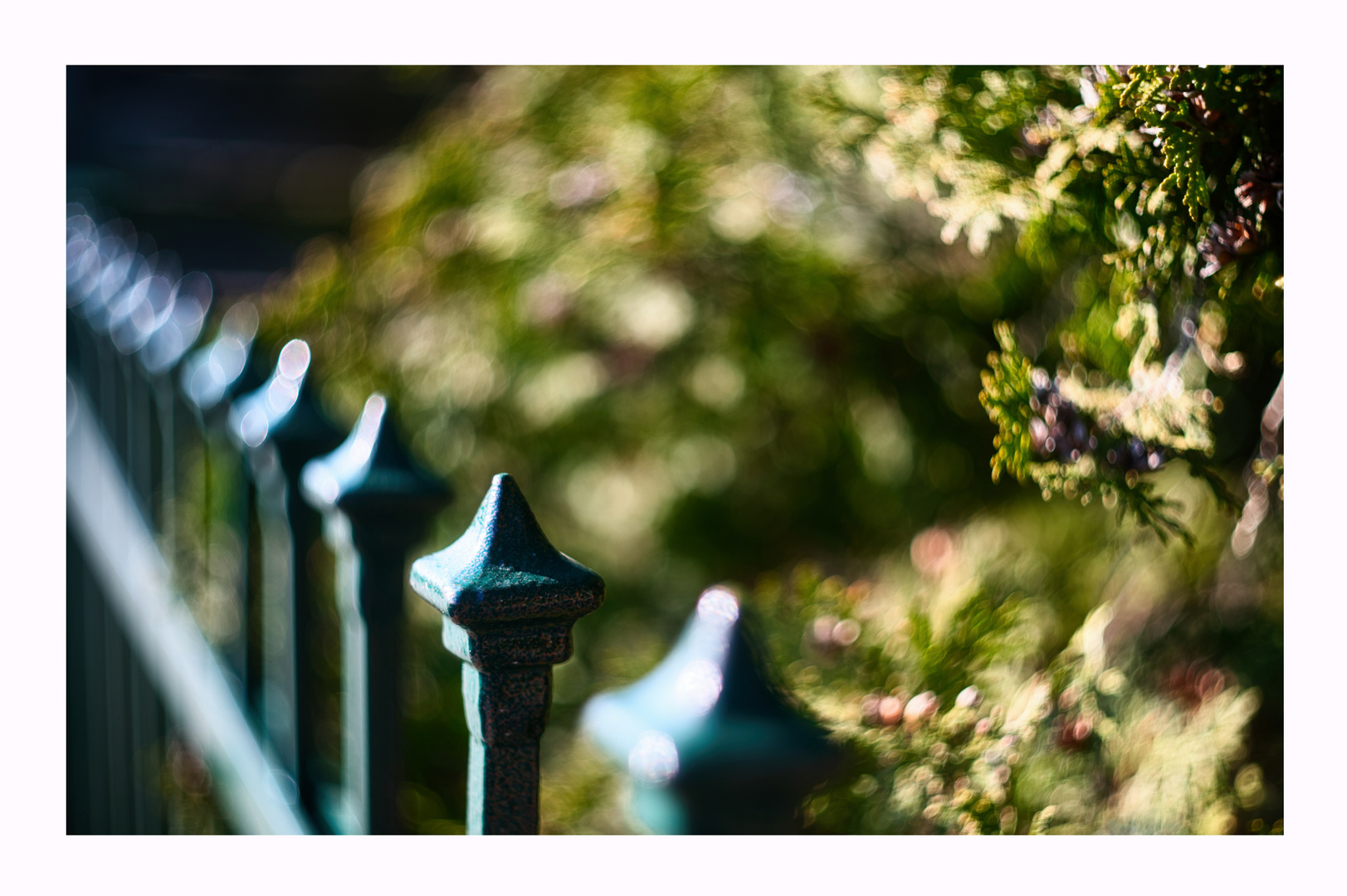 Fence and Swirl