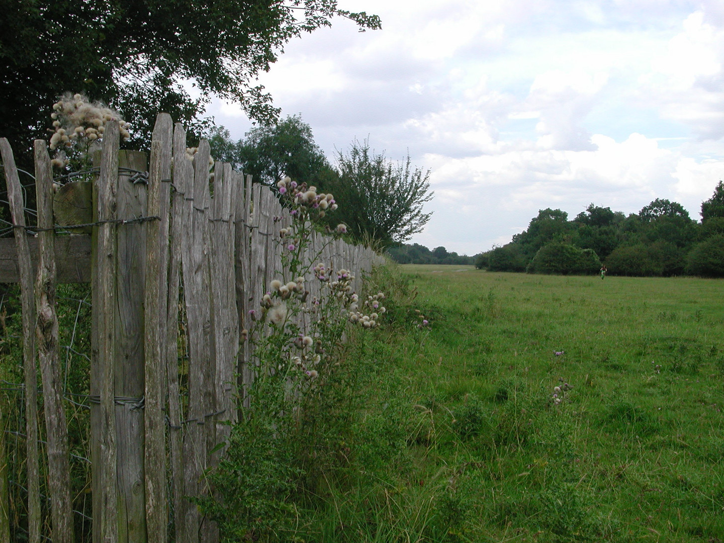 Fence