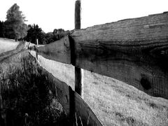 fence