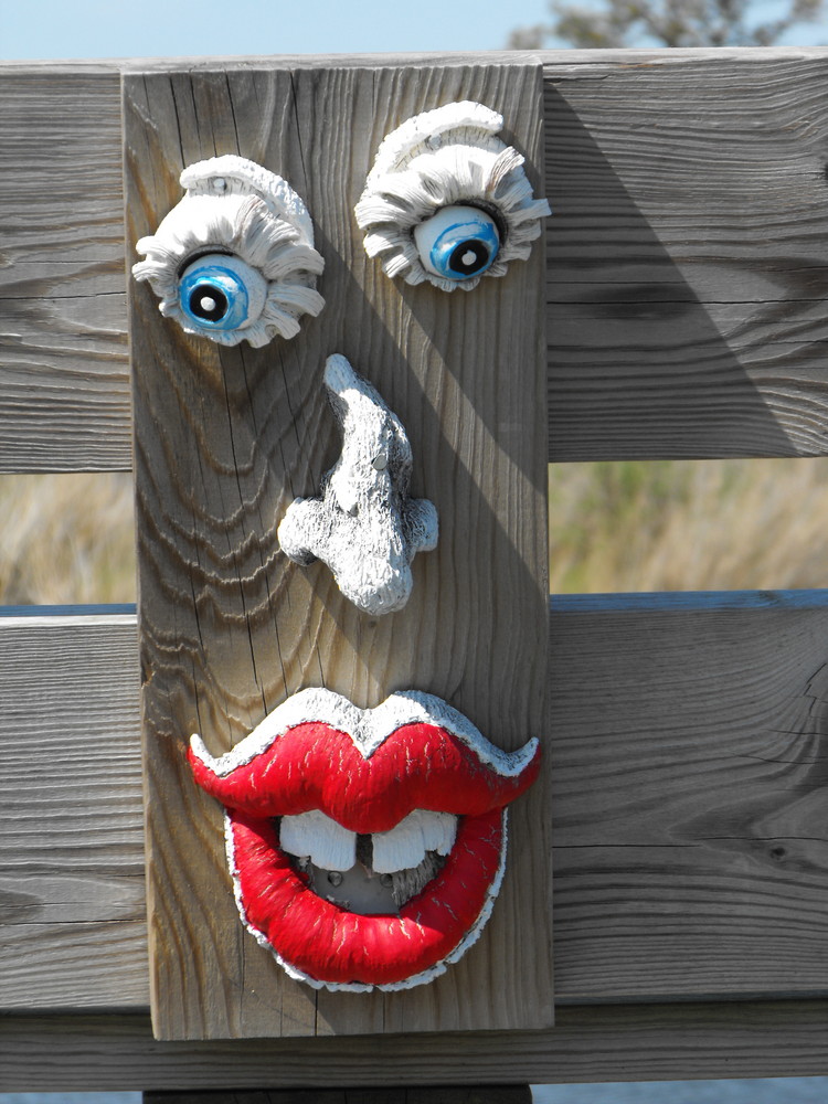Fence Face