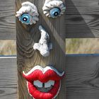 Fence Face