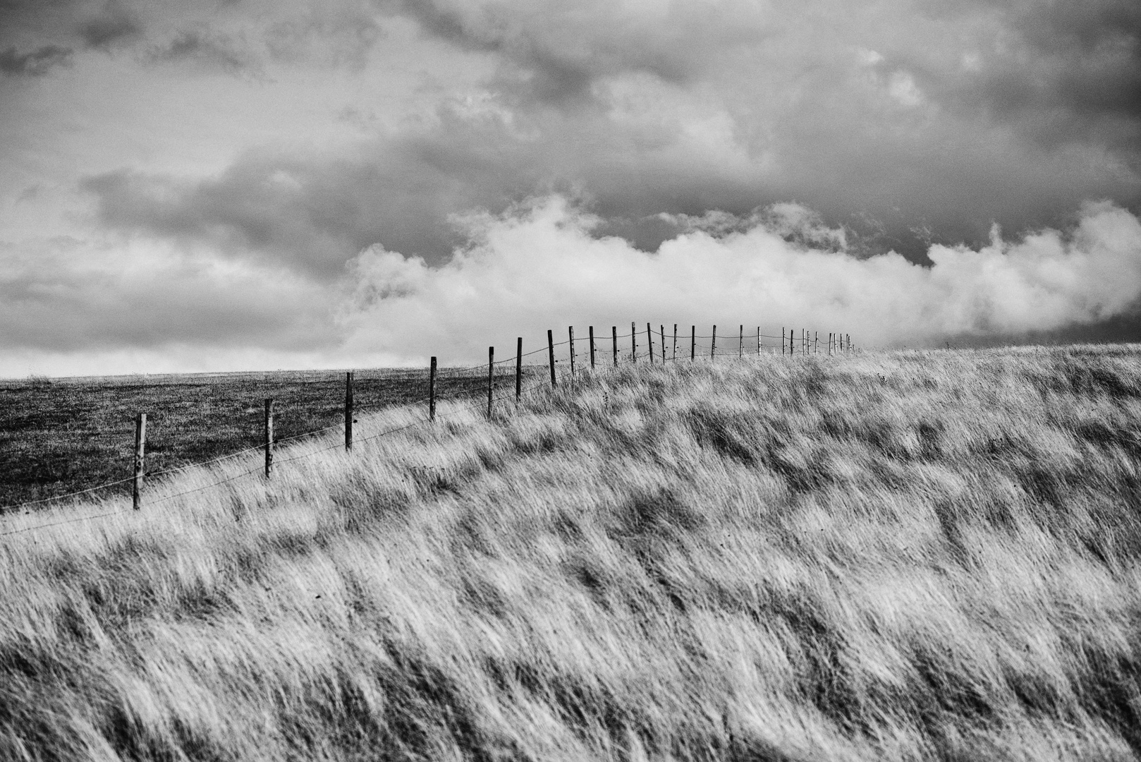 fence field horizon