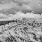 fence field horizon