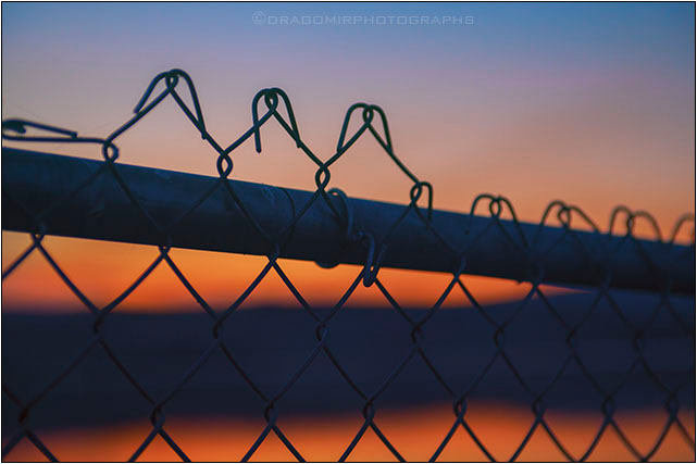 Fence In Sunset 