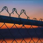 Fence In Sunset 