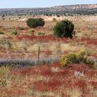 Fence in the open land