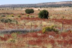 Fence in the open land