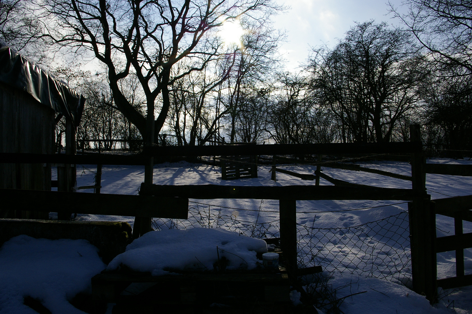Fence in the Snow